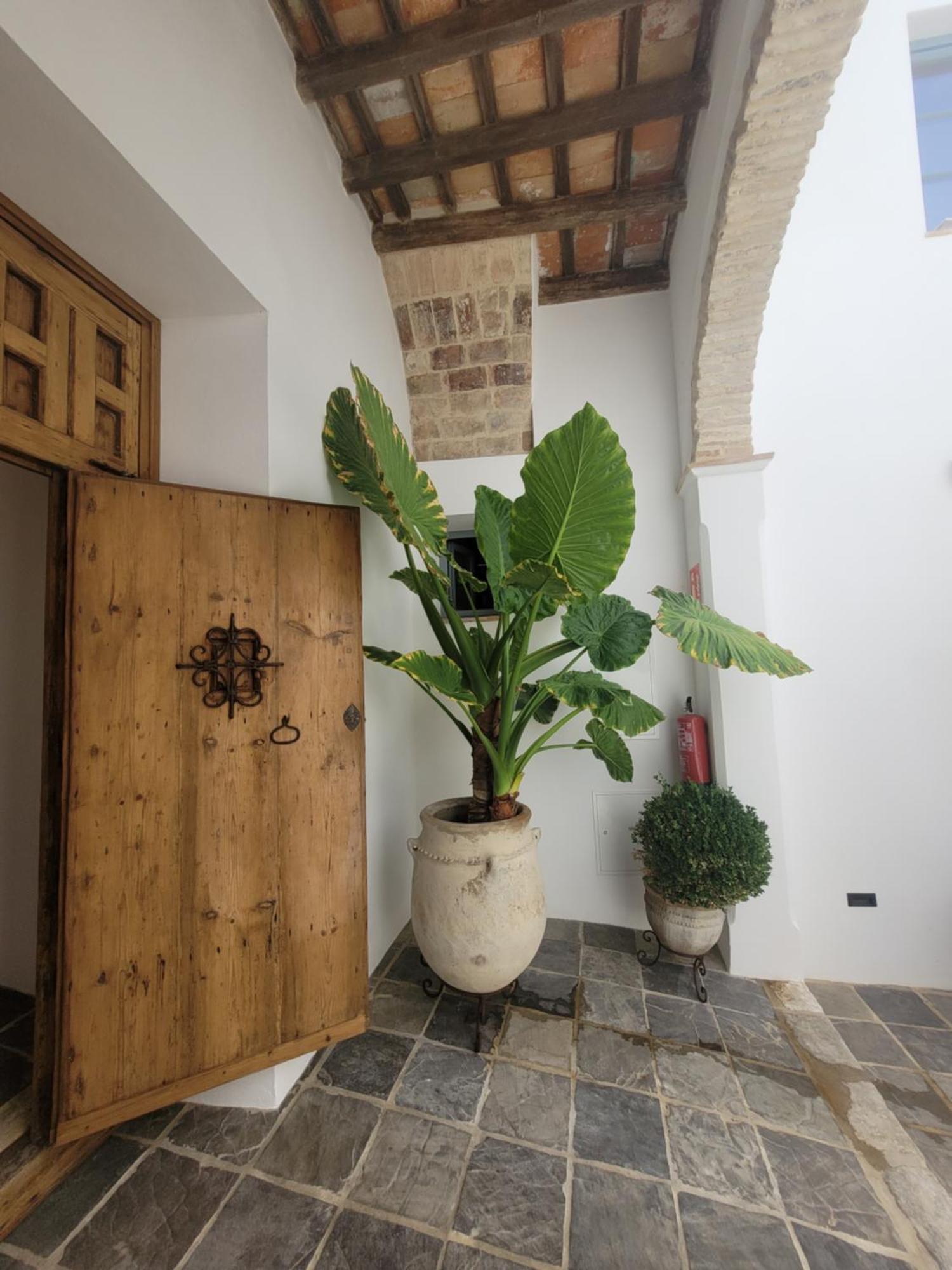 شقة Casa Del Museo - Agua ميدينا سيدونيا المظهر الخارجي الصورة